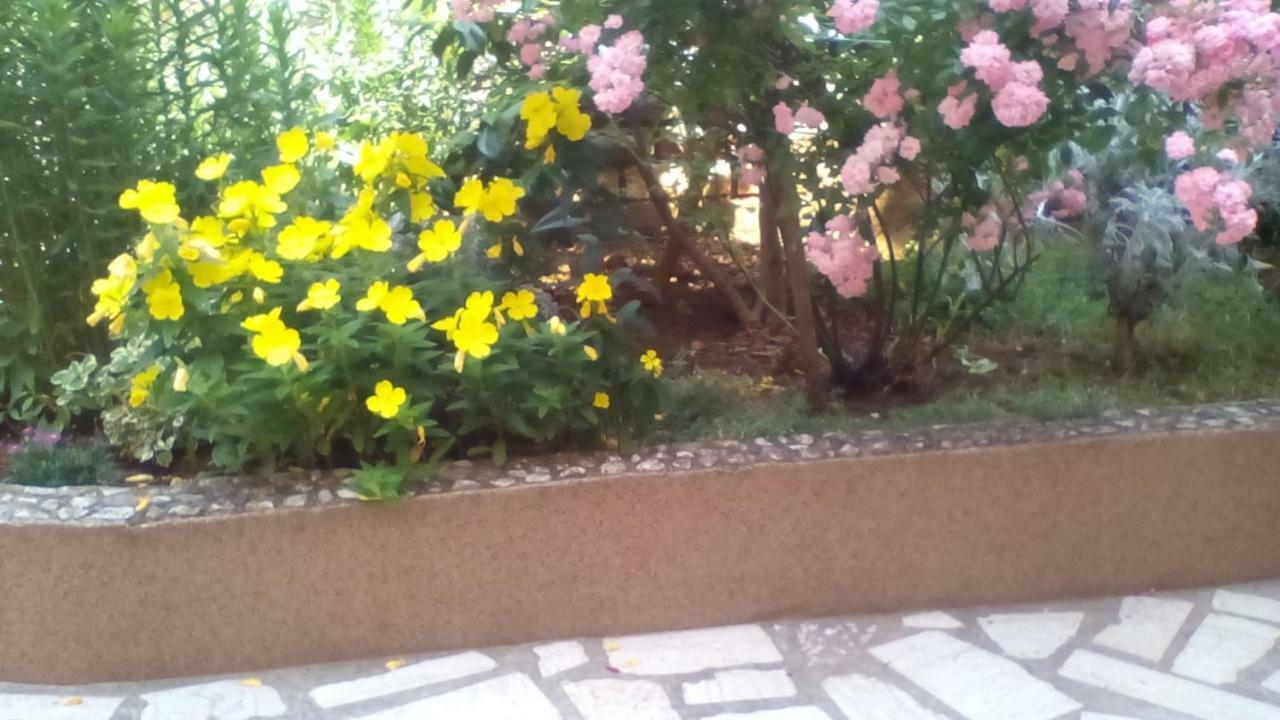 Apartment Tea Пула Екстер'єр фото